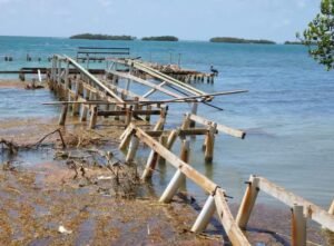 A PUNTO DE RENACER: DRNA Completa el Diseño para REVIVIR la Icónica Playita Rosada en Lajas